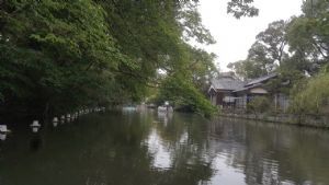 108.09.25-09.29宿戀九州自強活動