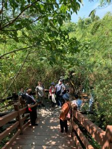 110.10.10活力登山社-漯底山自然公園